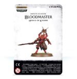 Bloodmaster, Herald of Khorne - immagine 2
