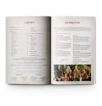 Quest of the Ringbearer (Inglese) - immagine 2