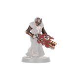 Armi e dotazioni dei Delaque - immagine 2