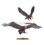 Great Eagles (Vecchia Scatola)