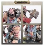 Butcher - immagine 2