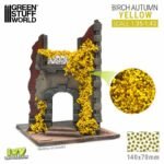 Edera in miniatura - Betulla Giallo - Grande