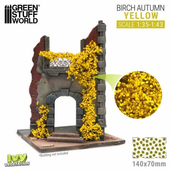 Edera in miniatura - Betulla Giallo - Grande