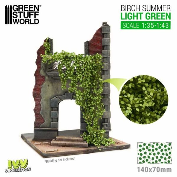 Edera in miniatura - Betulla Verde chiaro - Grande