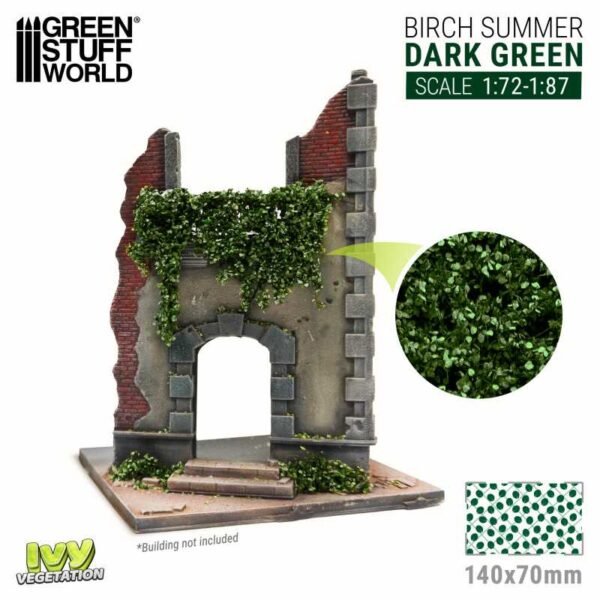 Edera in miniatura - Betulla verde scuro - Piccolo