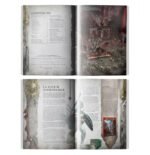 Portatori dell'Alba: Libro IV – L'Ascesa del Re Pazzo (ITALIANO) (Offerta a tempo limitato) - immagine 2