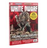 White Dwarf 497 (Inglese)