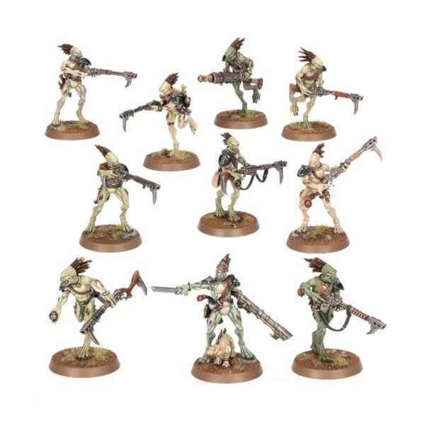Kroot Carnivori