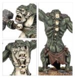 Common Trolls - immagine 2