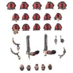 Dotazioni e trasferibili dei Red Corsairs