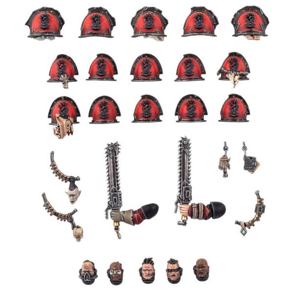 Dotazioni e trasferibili dei Red Corsairs